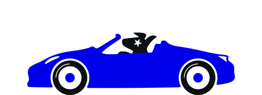 Animated dog driving a car